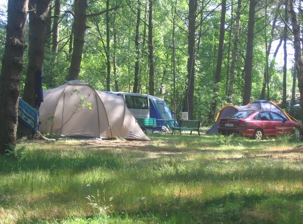 Pole namiotowe Leśne ?v=1.0