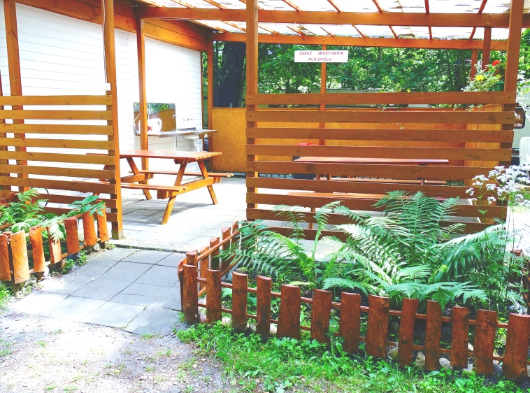 Pole namiotowe Leśne ?v=1.0