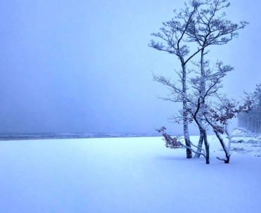 Najpiękniejsze zimowe Dębki nad morzem