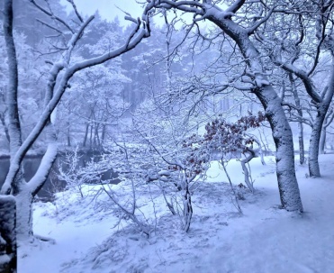 Dębki zimą &ndash; idealne na relaks